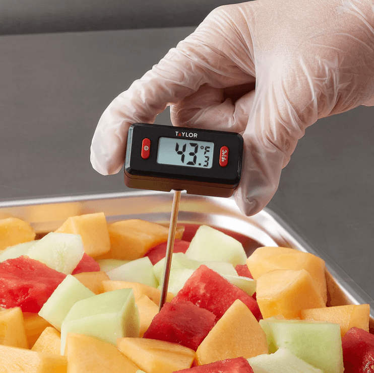taylor thermometer